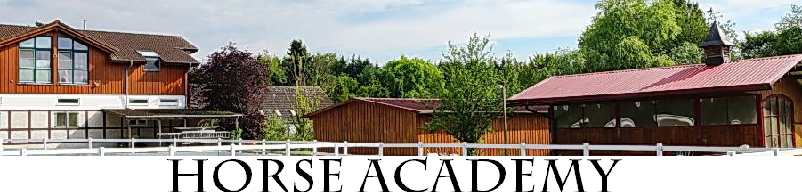 Horse Academy