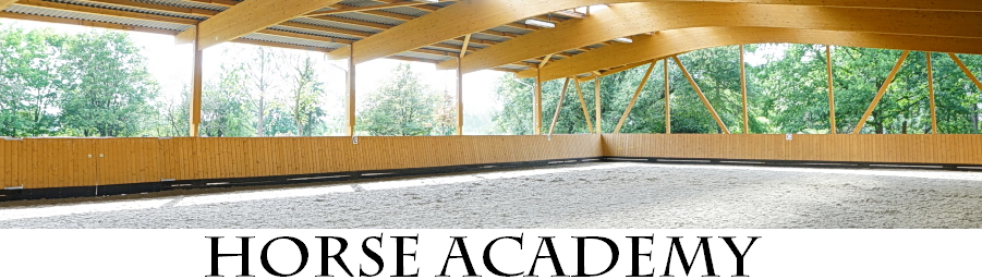 Horse Academy