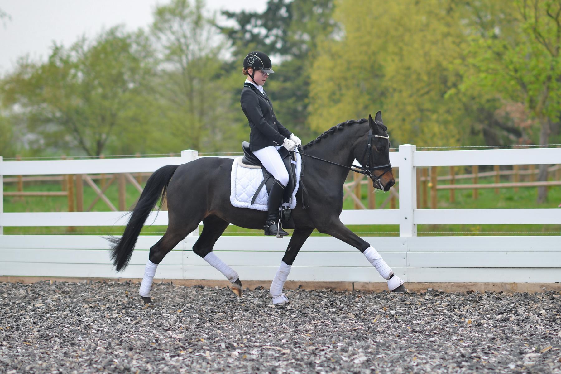 BIRDIE Horse Academy